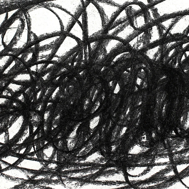 BARRAS DE CARBÓN DE SAUCE MIYA 20 PIEZAS 120 × 5–7 MM 5
