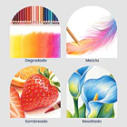 ARRTX 84 LÁPICES DE COLORES 4