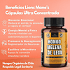 Melena de León 60 Cápsulas | Claridad mental, memoria y enfoque)