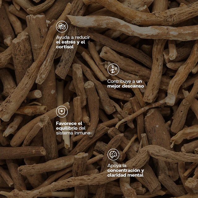 Ashwagandha 60 Cápsulas New Pharma – Adaptógeno Natural para Estrés, Descanso y Bienestar