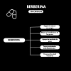 Berberina 100 Cápsulas – Apoya tu metabolismo y controla tu glucosa naturalmente