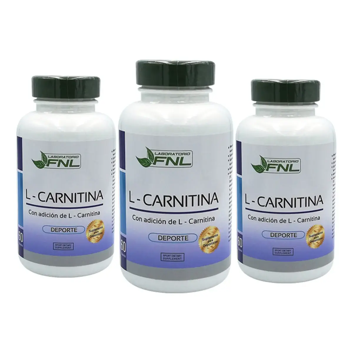L Carnitina