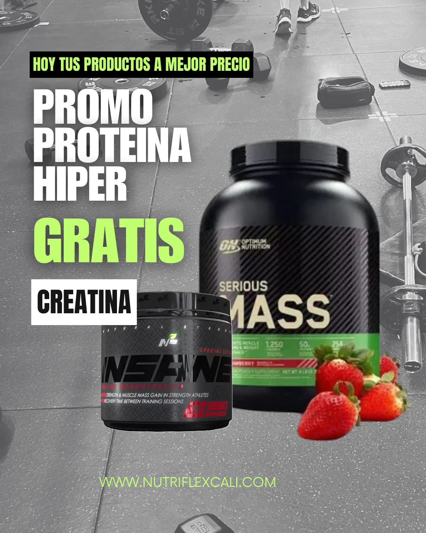 PROMOCION PROTEINA SERIUSS MASS + CREATINA INSANE 1