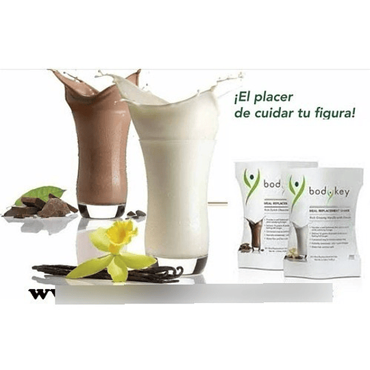 Bodykey Batido Nutricional Proteina Sabor Chocolate