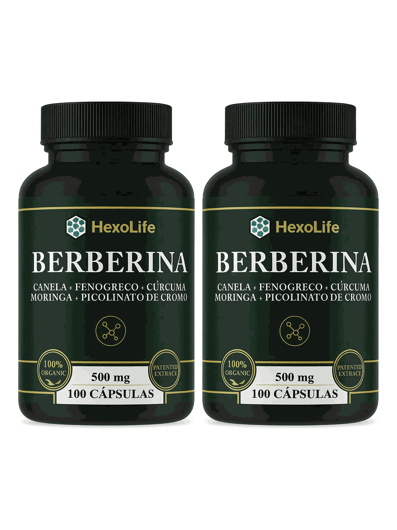 Berberina 500mg 2 Frascos — 100 cápsulas