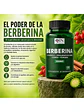 X2 Berberina 500mg Berberine Qin Supplements — 200 cápsulas - Miniatura 4