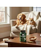 Silimarina Suplemento Perro Y Gato Qin Supplements — 90 cápsulas - Miniatura 3