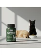 Silimarina Suplemento Perro Y Gato Qin Supplements — 90 cápsulas - Miniatura 4