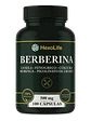 Berberina 500mg Berberine — 100 cápsulas - Miniatura 1