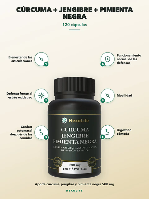 Cúrcuma + Jengibre + Pimienta Negra — 120 cápsulas