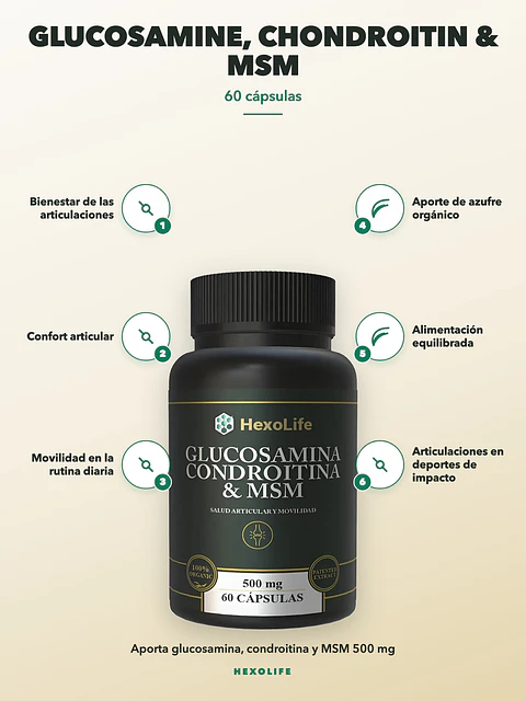 Glucosamina Condroitina MSM — 60 cápsulas