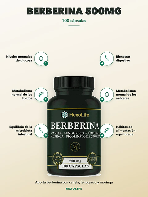 Berberina 500mg — 100 cápsulas