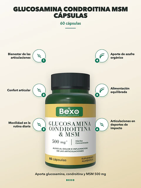 Glucosamina Condroitina MSM Cápsulas Bexo — 60 cápsulas