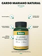 Cardo Mariano Natural — 100 cápsulas - Miniatura 2