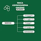 Pack X2 Maca + Ashwagandha + Ginseng 100 Cápsulas  - Miniatura 4
