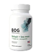 Shilajit + Sea Moss + Tongkat Ali + Ashwagandha BOG — 100 cápsulas - Miniatura 1