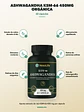 Ashwagandha KSM-66 450mg Orgánica HexoLife — 60 cápsulas - Miniatura 2