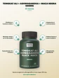 Tongkat Ali + Ashwagandha + Maca Negra 500mg Qin Supplements — 60 cápsulas - Miniatura 2