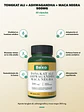 Tongkat Ali + Ashwagandha + Maca Negra 500mg Bexo — 60 cápsulas - Miniatura 2
