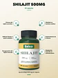Shilajit 500mg 1 Frasco — 60 cápsulas - Miniatura 2