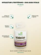 Intelectum L-Triptófano + DHA Aura Vitalis — 60 cápsulas - Miniatura 2