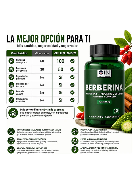Berberina 500mg Qin Supplements — 100 cápsulas 