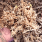 Musgo Sphagnum Natural para Plantas - Miniatura 2