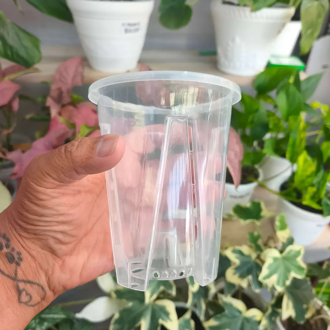 Maceta traslúcida para orquídeas – ventilación superior y drenaje ideal 3