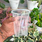 Maceta traslúcida para orquídeas – ventilación superior y drenaje ideal - Miniatura 3