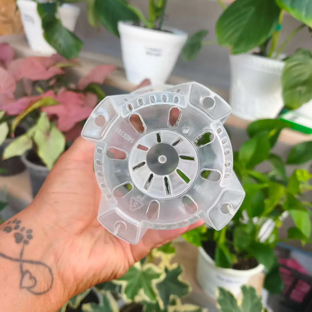 Maceta traslúcida para orquídeas – ventilación superior y drenaje ideal 4