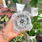 Maceta traslúcida para orquídeas – ventilación superior y drenaje ideal - Miniatura 4