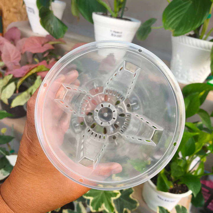 Maceta traslúcida para orquídeas – ventilación superior y drenaje ideal 5