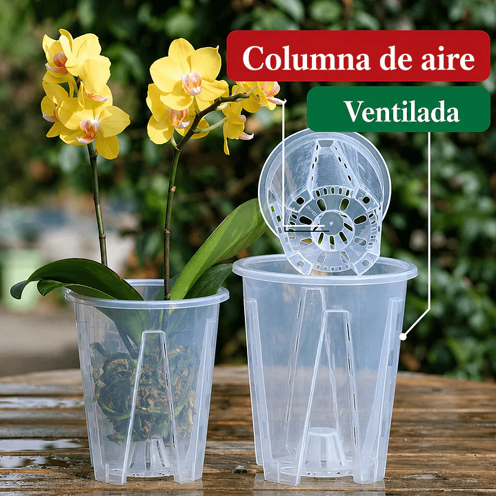 Maceta traslúcida para orquídeas – ventilación superior y drenaje ideal 6