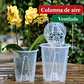 Maceta traslúcida para orquídeas – ventilación superior y drenaje ideal - Miniatura 6