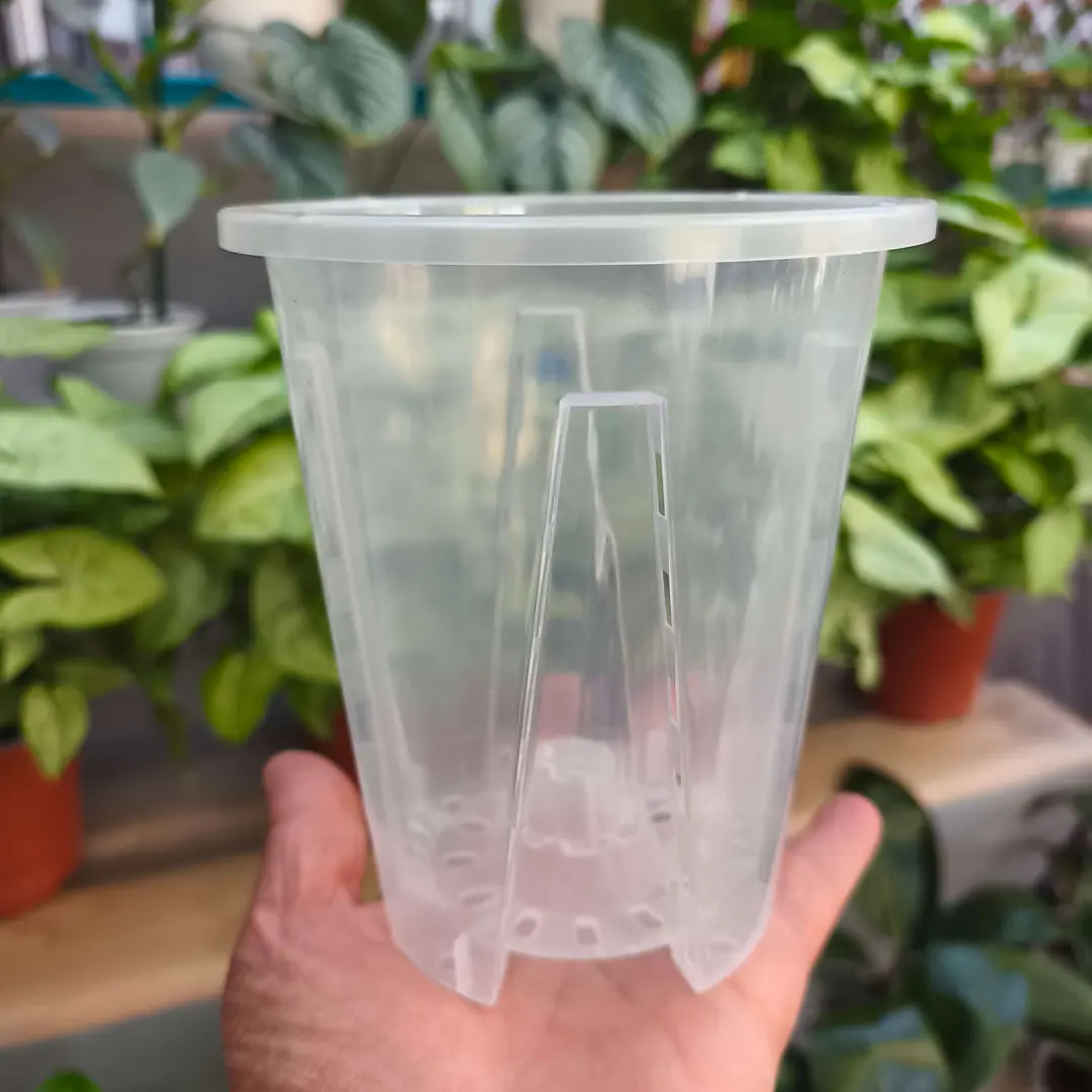 Maceta traslúcida para orquídeas – ventilación superior y drenaje ideal 7