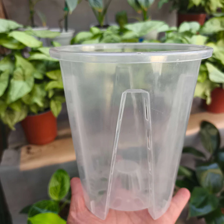 Maceta traslúcida para orquídeas – ventilación superior y drenaje ideal 8
