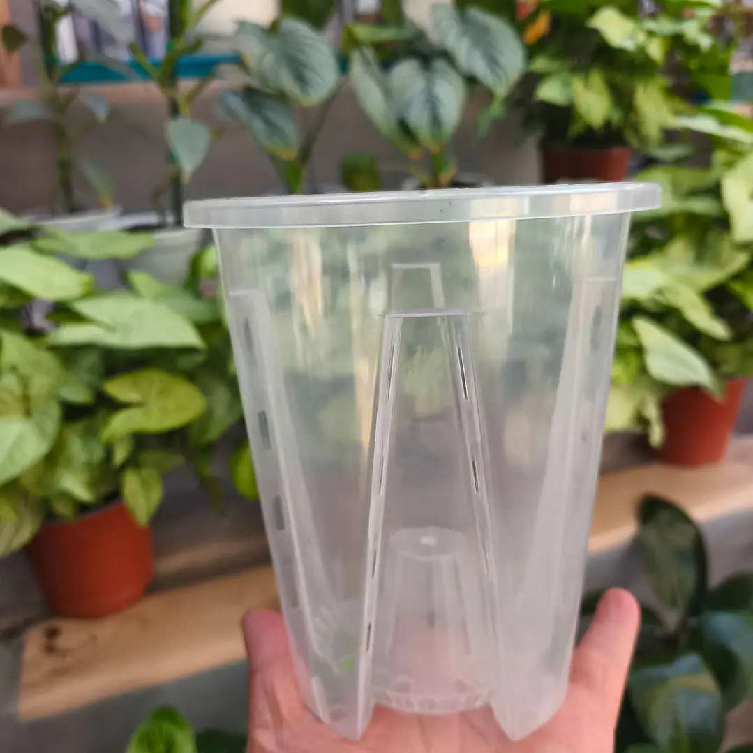 Maceta traslúcida para orquídeas – ventilación superior y drenaje ideal 9