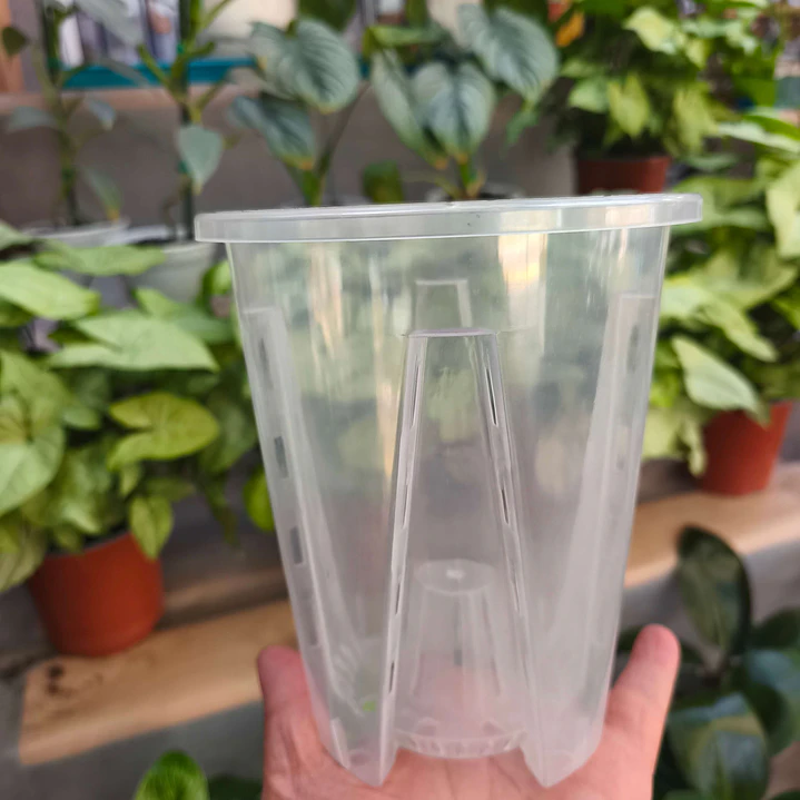 Maceta traslúcida para orquídeas – ventilación superior y drenaje ideal 9