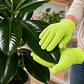 Guantes de Microfibra para Limpiar Hojas de Plantas | Reutilizables Verdes - Miniatura 1