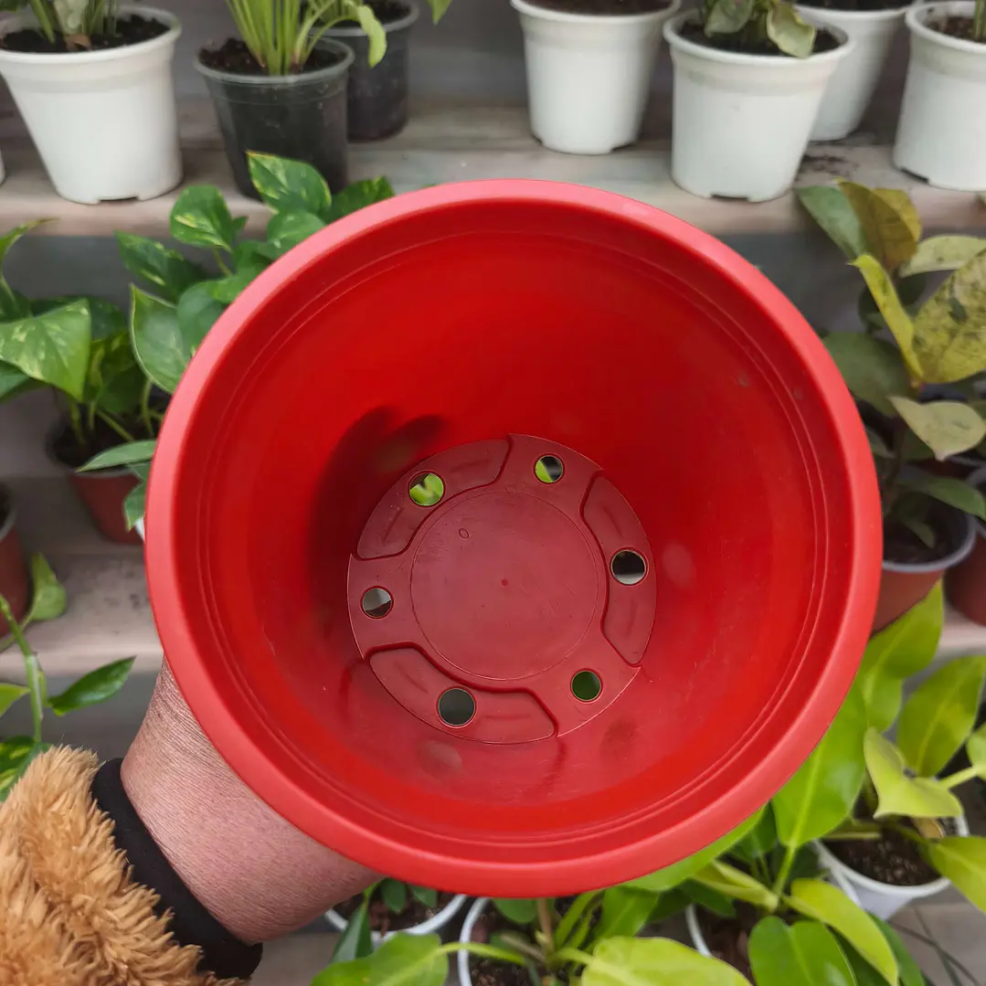 Maceta plástica M14 para Plantas 2