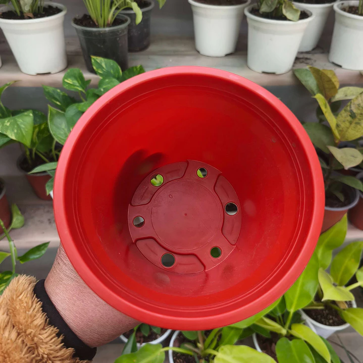 Maceta plástica M14 para Plantas 2