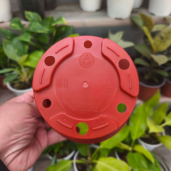Maceta plástica M14 para Plantas 3
