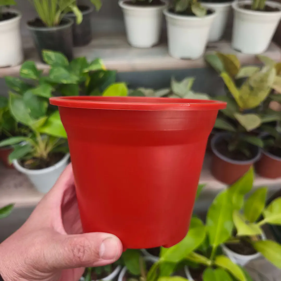 Maceta plástica M14 para Plantas 4