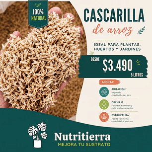 Cascarilla de Arroz Natural para Plantas, Sustratos y Huertos Orgánicos