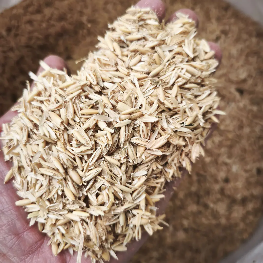 Cascarilla de Arroz Natural para Plantas, Sustratos y Huertos Orgánicos 4
