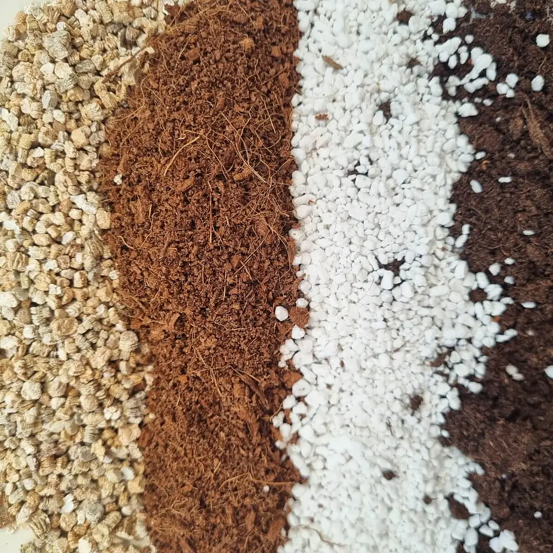  Pack de Sustratos Premium para Plantas | Mezcla Profesional para Cultivo y Trasplante 3