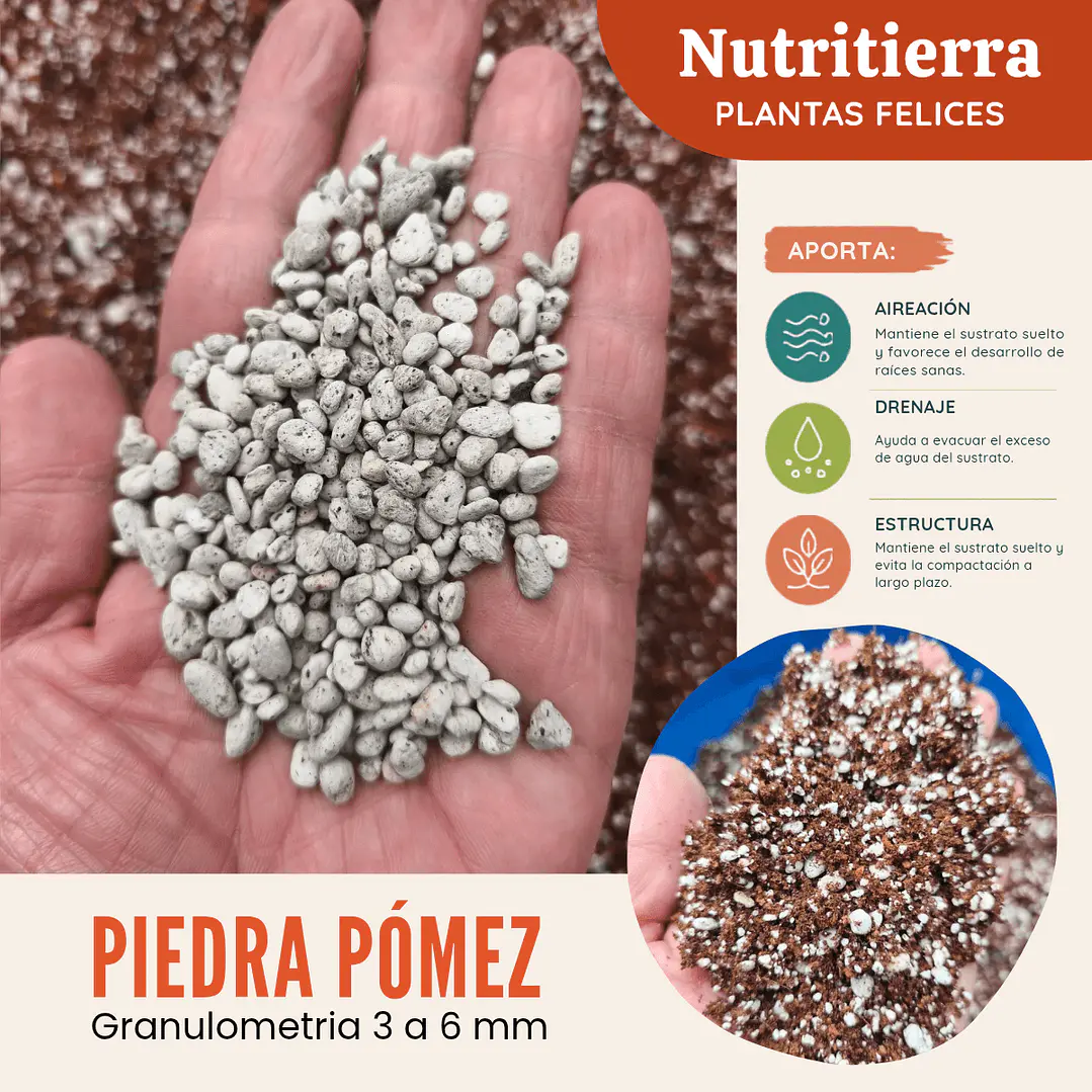 Piedra Pómez 1.5 a 3 mm – Mejorador de Sustrato para Plantas y Bonsái 1