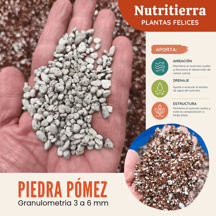 Piedra Pómez 1.5 a 3 mm – Mejorador de Sustrato para Plantas y Bonsái 1