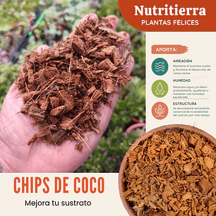 Chips de Corteza de Coco para Orquídeas, Plantas Tropicales y Mezclas de Sustrato