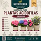 Sustrato Ácido Premium para Hortensias y Plantas Acidófilas | Nutritierra - Miniatura 1
